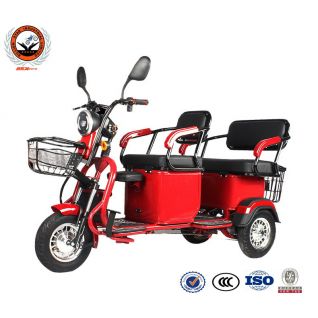 Economic 600W Motor 12 Tubes 14 Inch Tire 3 Wheels 25Km/H 30KM Battery Mileage With Double Passenger Seat