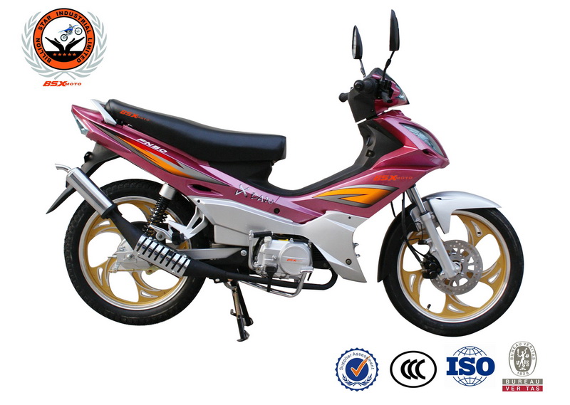 PhotoCap_029.jpg