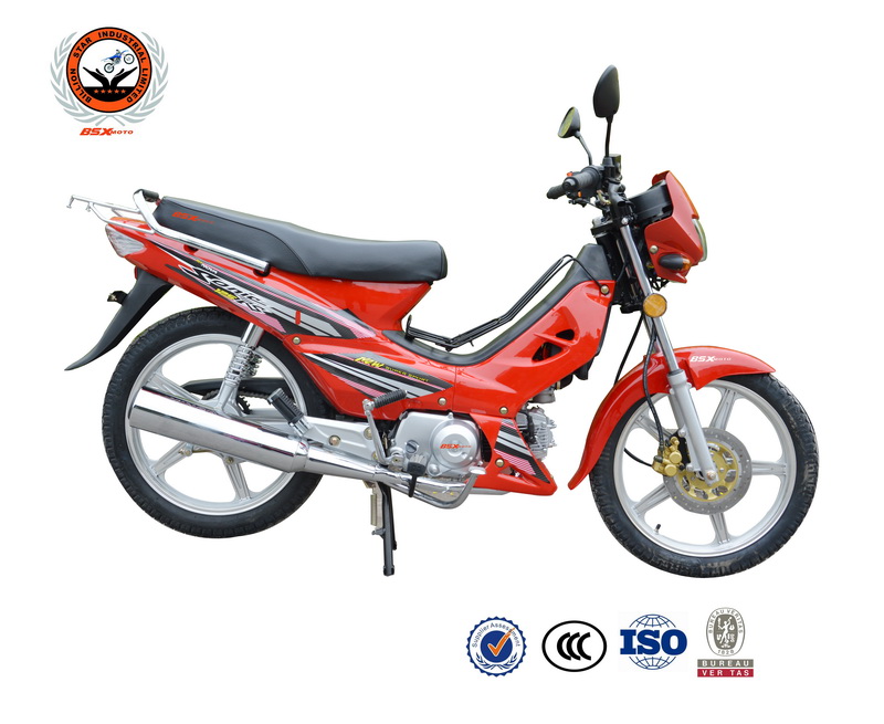 12 BSX110-X1.jpg