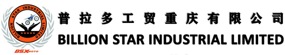 BILLION STAR INDUSTRIAL LIMITED